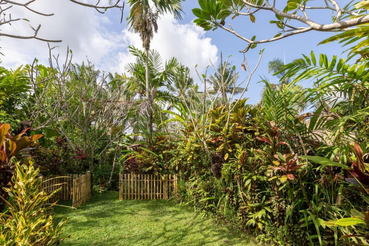 Bali Firefly Bnb 우붓 외부 사진