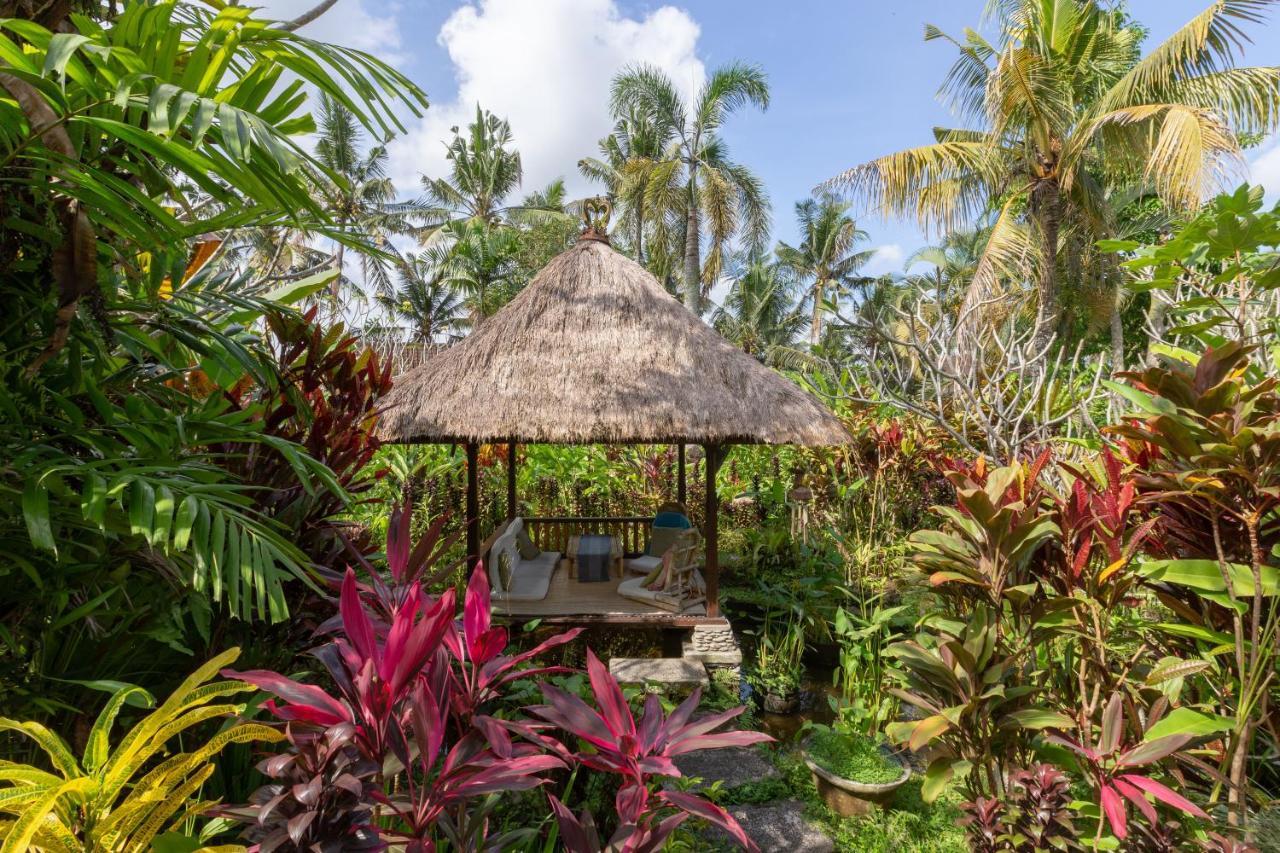 Bali Firefly Bnb 우붓 외부 사진