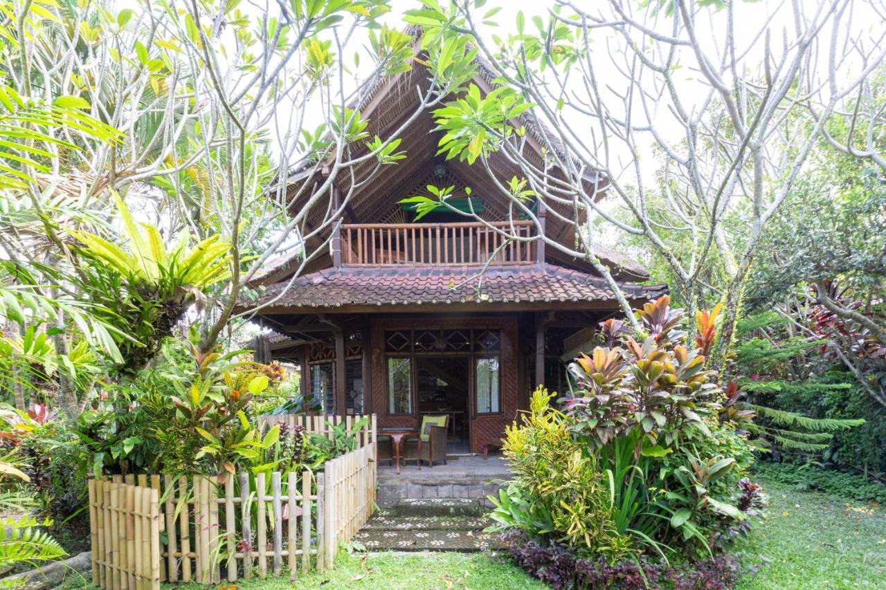 Bali Firefly Bnb 우붓 외부 사진