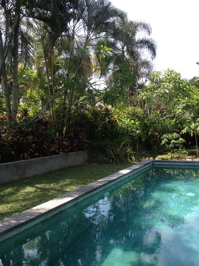 Bali Firefly Bnb 우붓 외부 사진
